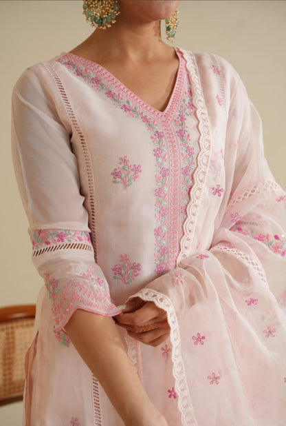 Soft Organzi Pakistani suit