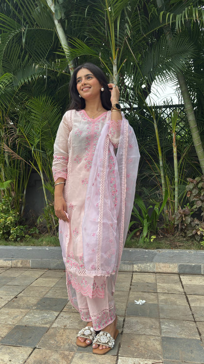 Soft Organzi Pakistani suit